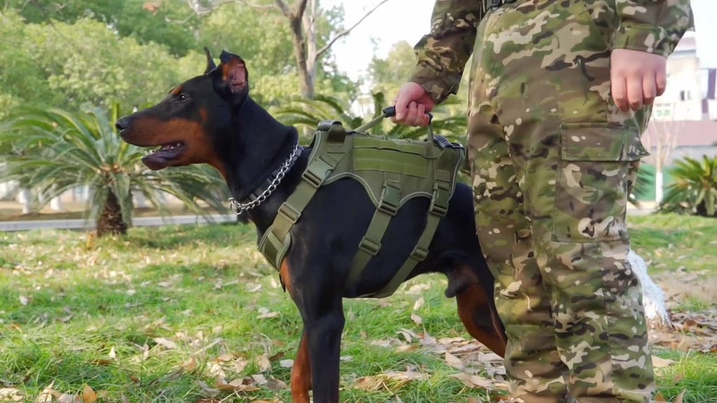 Large Breed Dog Tactical Training Dog Harness Vest Army Green